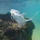 Image for article titled The U.S. Barely Recycled Last Year